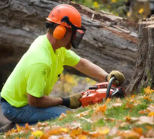 tree services Breckenridge Hills